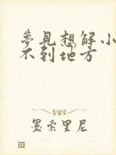 梦见想解小便找不到地方