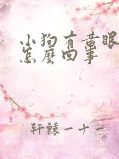 小狗有黄眼屎是怎么回事