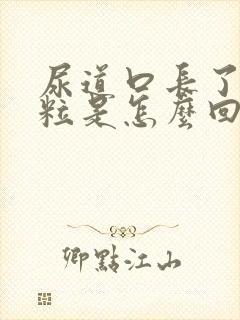 尿道口长了肉颗粒是怎么回事