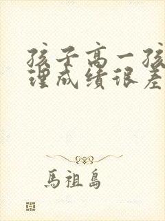 孩子高一孩子物理成绩很差