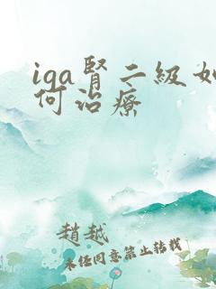 iga肾二级如何治疗