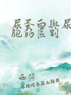 尿蛋白与尿白细胞的区别