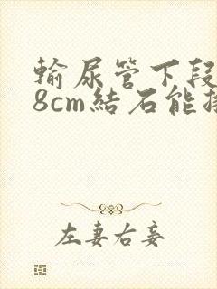 输尿管下段0.8cm结石能排出吗