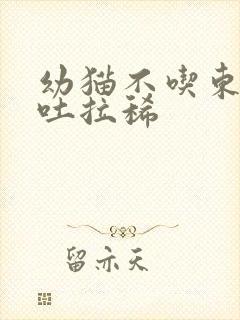 幼猫不吃东西呕吐拉稀