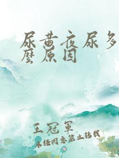 尿黄夜尿多是什么原因