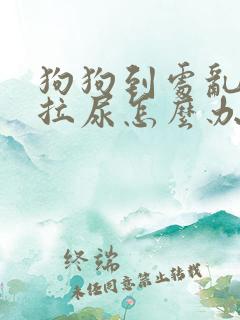 狗狗到处乱拉屎拉尿怎么办