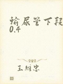 输尿管下段结石0.4