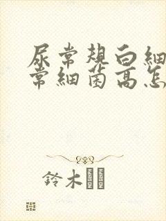 尿常规白细胞正常细菌高怎么回事