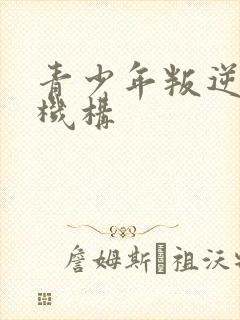 青少年叛逆疏导机构