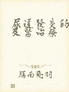 尿道发炎的症状及医治疗