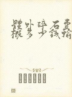 体外碎石费用大概多少钱输尿管