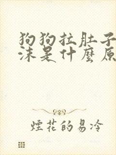 狗狗拉肚子吐白沫是什么原因