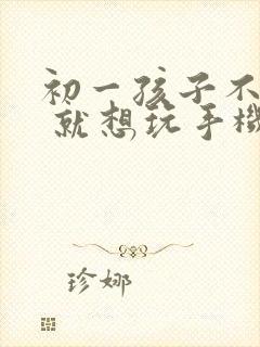 初一孩子不上学 就想玩手机怎么办