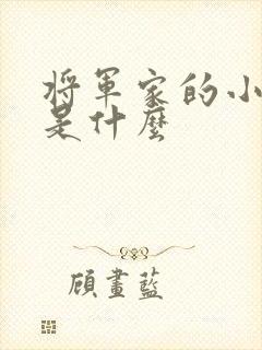 将军家的小娘子是什么