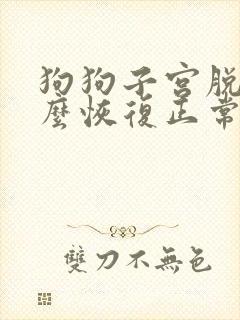 狗狗子宫脱垂怎么恢复正常小妙招
