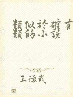 类似于确有情之类的小说