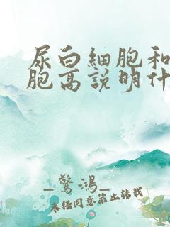 尿白细胞和红细胞高说明什么问题