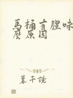 马桶有腥味儿什么原因