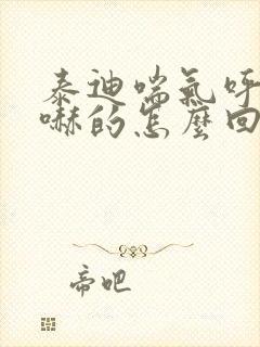 泰迪喘气呼哧呼哧的怎么回事