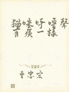 猫咪呼噜声音像有痰一样