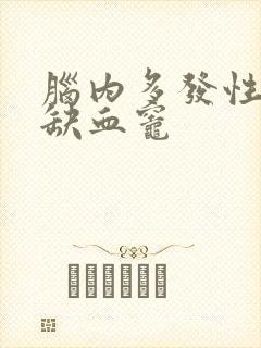 脑内多发性慢性缺血灶