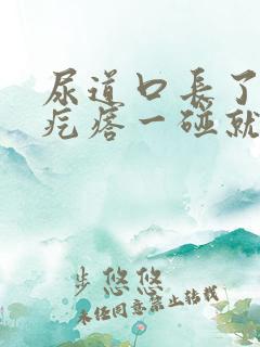 尿道口长了个肉疙瘩一碰就疼