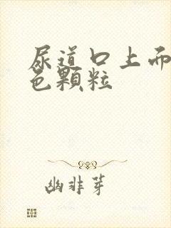 尿道口上面有红色颗粒