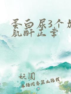 蛋白尿3个加号肌酐正常