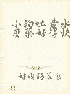 小狗吐黄水吃什么药好得快