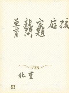 单亲家庭孩子教育问题