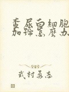 查尿白细胞1个加号怎么办