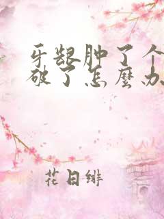 牙龈肿了个肉坨破了怎么办