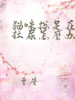 猫咪总是在床上拉尿怎么办