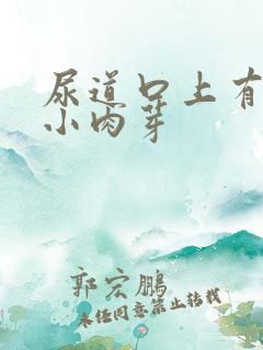 尿道口上有一个小肉芽