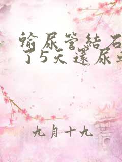 输尿管结石排掉了5天还尿血