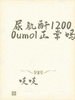 尿肌酐12000umol正常吗