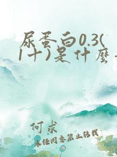 尿蛋白0.3(1十)是什么意思