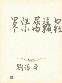 男性尿道口长了个小肉颗粒