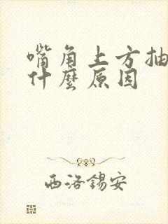 嘴角上方抽搐是什么原因