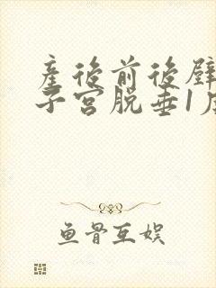 产后前后壁膨出子宫脱垂1度