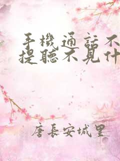 手机通话不开免提听不见什么原因