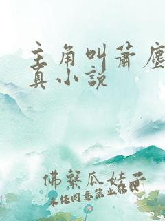 主角叫萧尘的修真小说