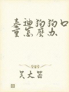 泰迪狗狗口臭严重怎么办