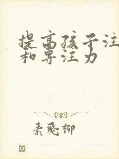 提高孩子注意力和专注力