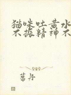 猫咪吐黄水食欲不振精神不好