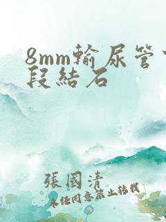 8mm输尿管下段结石