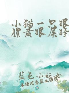 小猫一只眼睛有脓黄眼屎睁不开