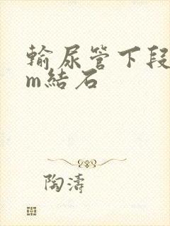 输尿管下段3mm结石