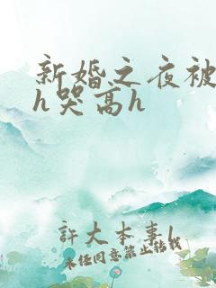 新婚之夜被肉伦h哭高h
