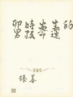 卯时出生的属牛男孩命运